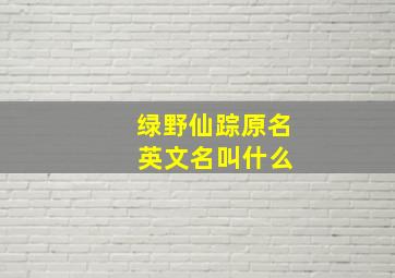 绿野仙踪原名 英文名叫什么